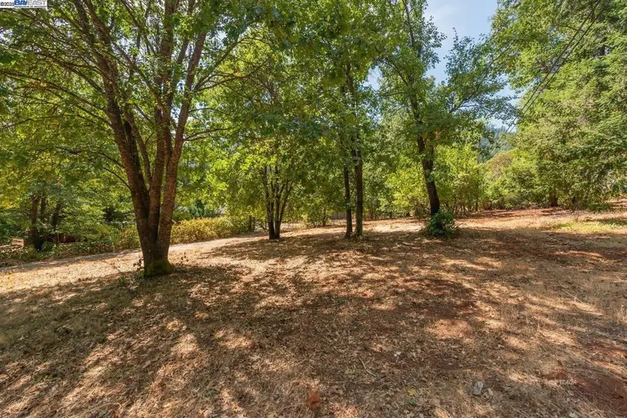 171 Connor Creek Rd, Junction City, CA 96048 - Image #2