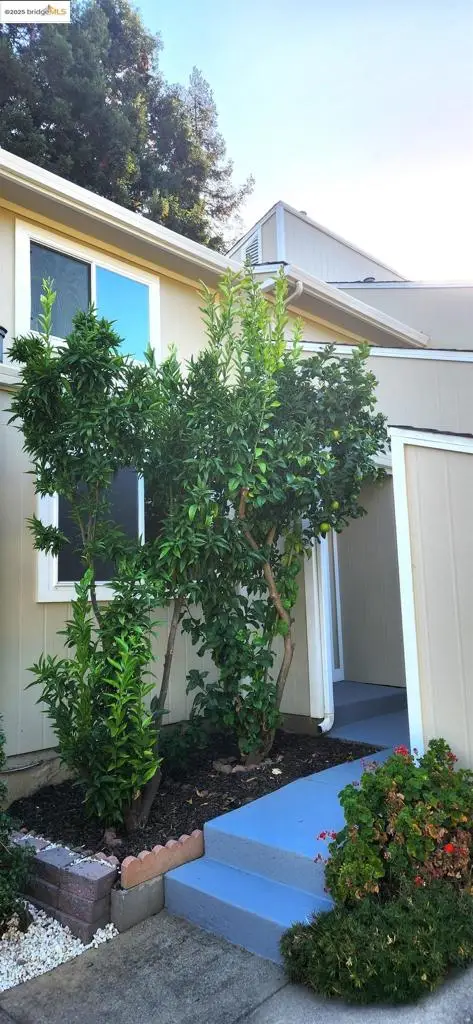 5389 San Simeon Pl, Castro Valley, CA 94552 - Image #2