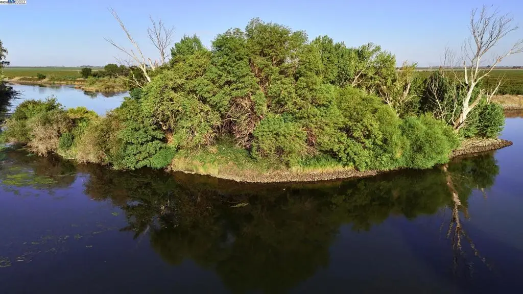 Goldrift Island, Byron, CA 94514 - Image #1