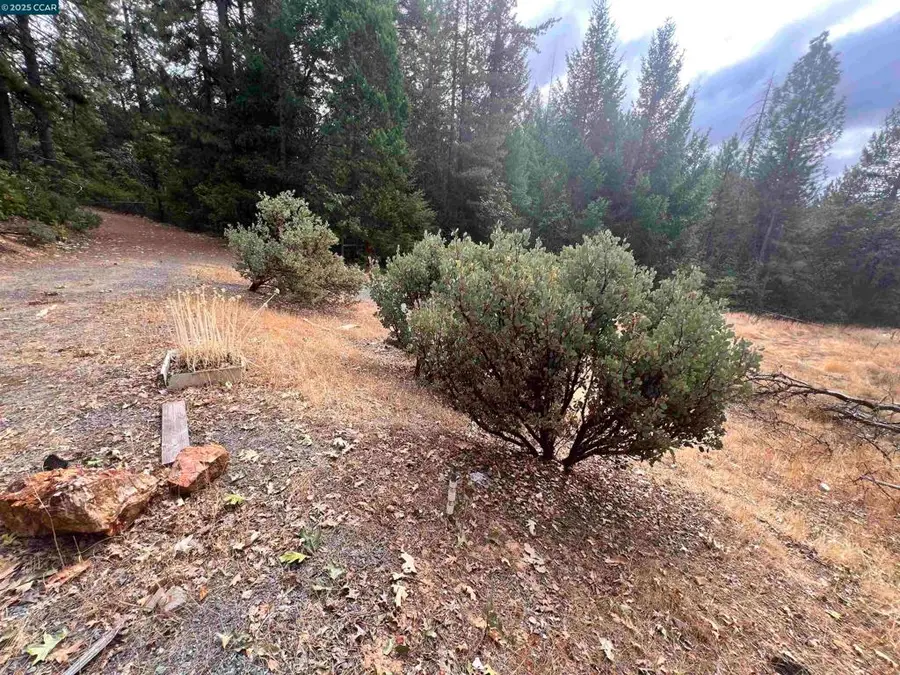 4040 Tin Ranch Rd, Georgetown, CA 95634 - Image #2