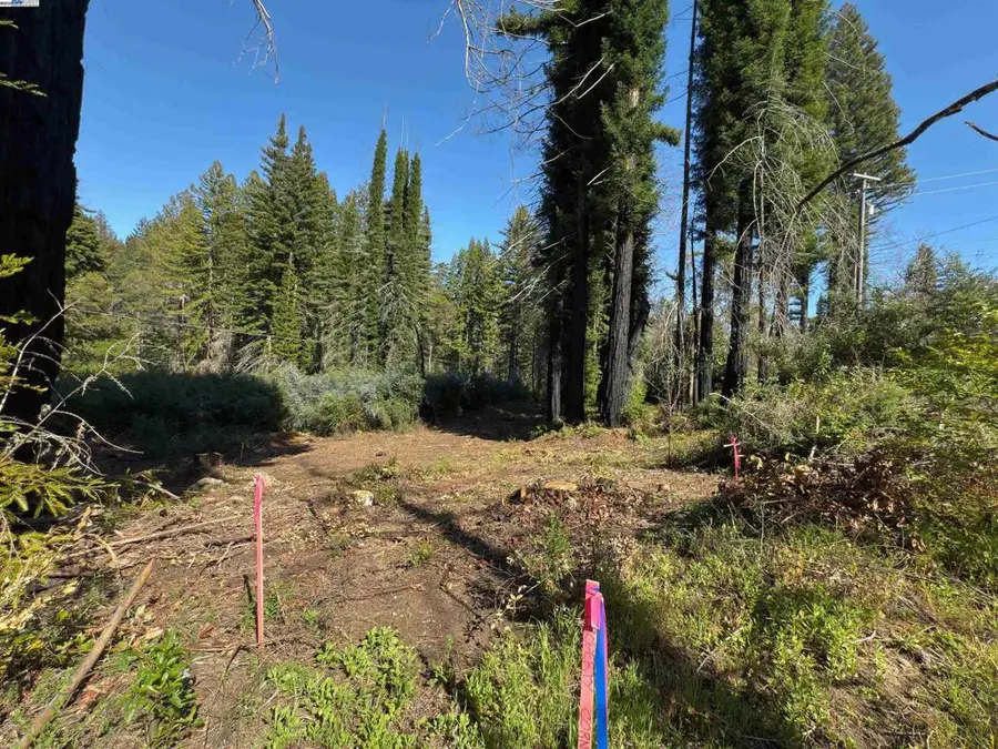 0 Fallen Leaf Dr, Boulder Creek, CA 95006 - Image #2