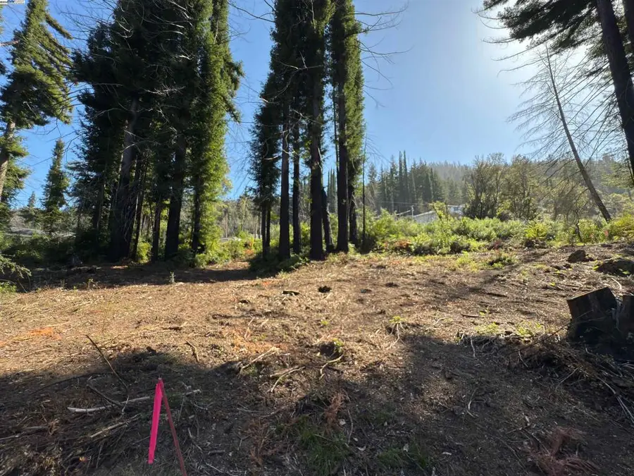 0 Fallen Leaf Dr, Boulder Creek, CA 95006 - Image #3