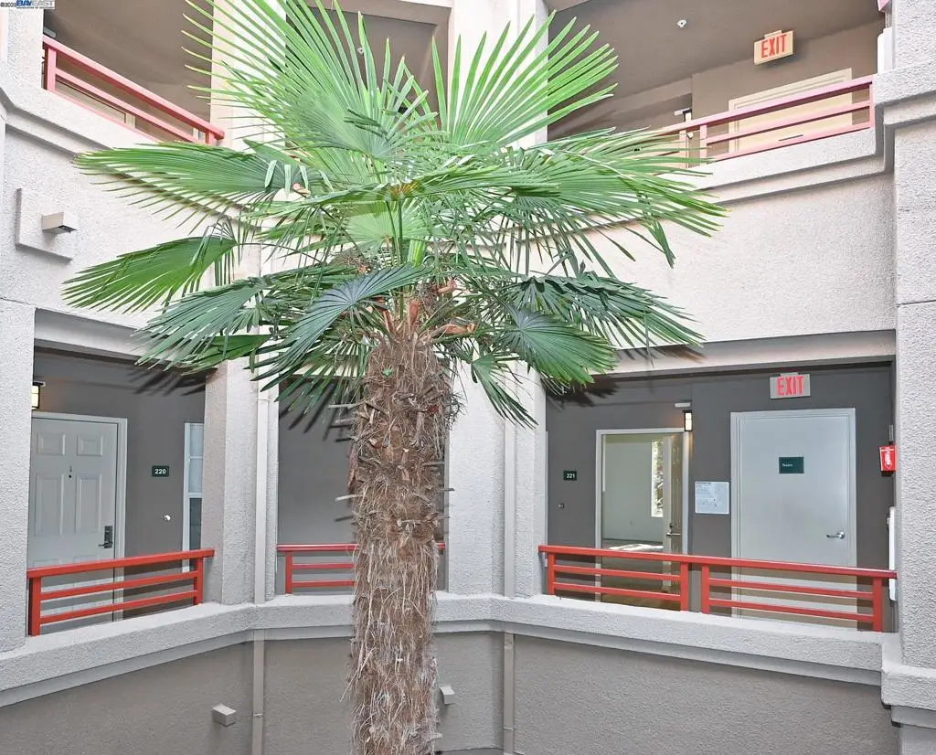 280 Caldecott Ln #221, Oakland, CA 94618 - Image #1