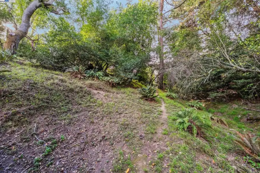 7171 Homewood Drive, Oakland, CA 94611 - Image #2