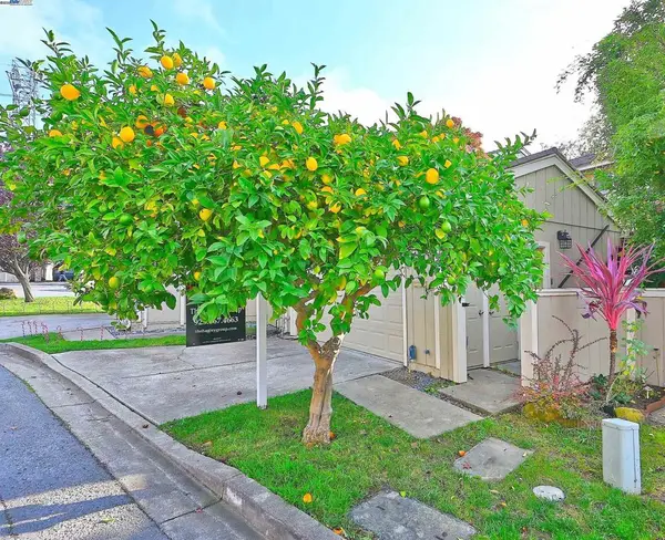 405 Thistle Cir, Martinez, CA 94553