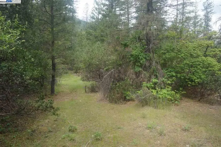 6269 Dutch Creek, Junction City, CA 96048 - Image #2