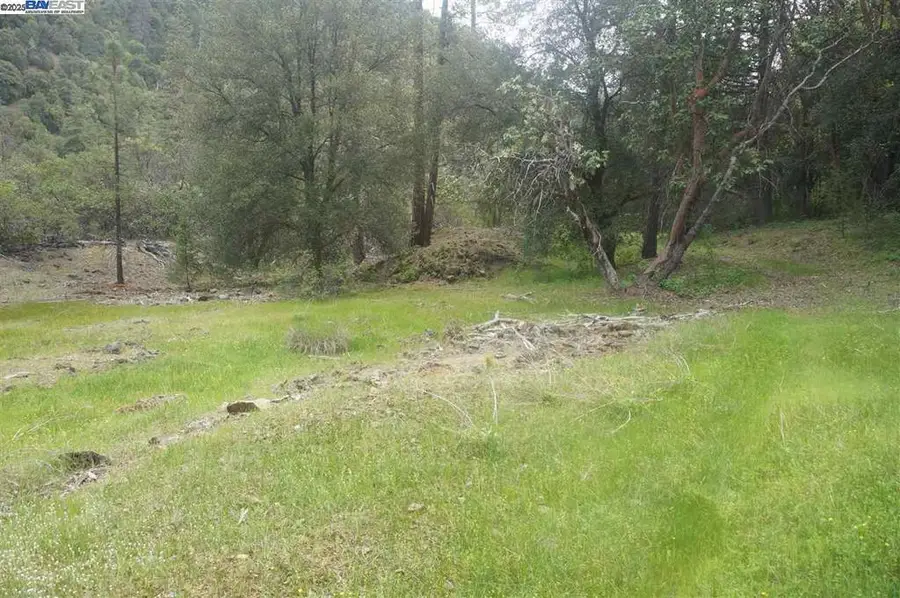 6269 Dutch Creek, Junction City, CA 96048 - Image #3