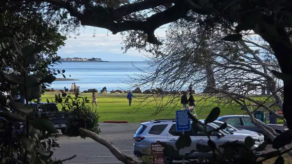 1321 1321 Webster St #D119, Alameda, CA 94501