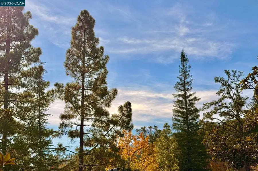 1324 Singingwood Court #3, Walnut Creek, CA 94595 - Image #3