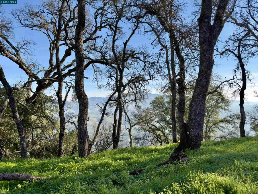 0 0 Castle Crest Rd, Alamo, CA 94507 - Image #2