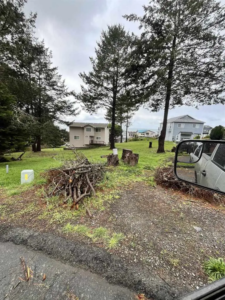 22 Spruce Ct, Whitethorn, CA 95589 - #2