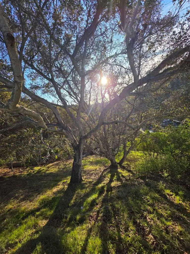 0 Longfellow Dr, Belmont, CA 94002 - Image #1