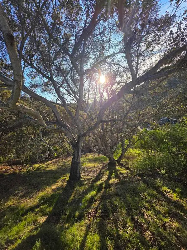 0 Longfellow Dr, Belmont, CA 94002