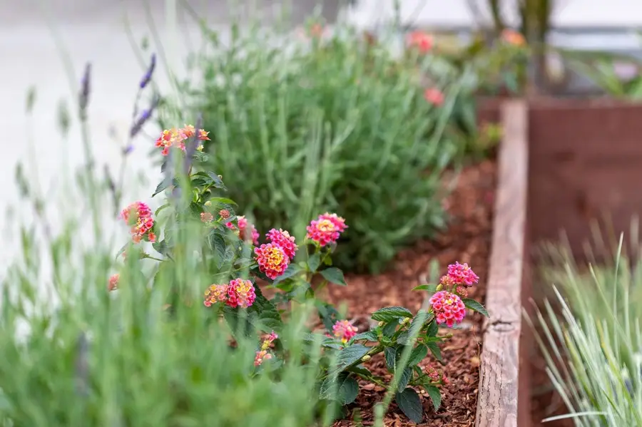 3006 3006 14th Ave, Oakland, CA 94602 - #2