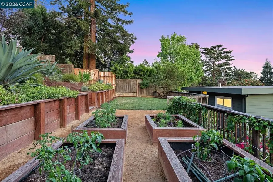 6555 Saroni Dr, Oakland, CA 94611 - #3