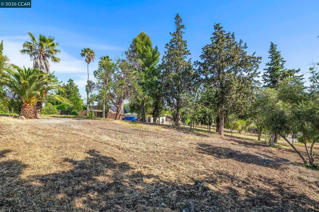 1051 Tilley Cir, Concord, CA 94518 - #1