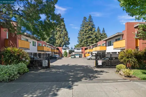 25013 Cypress Ave, Hayward, CA 94544