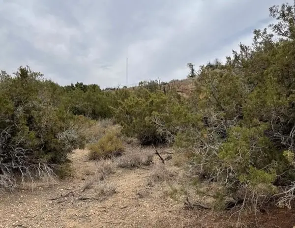 0 Valley Court, Pinon Hills, CA 92372