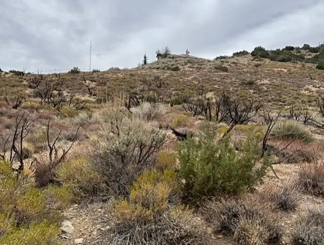 0 Valley Court, Pinon Hills, CA 92372 - #3