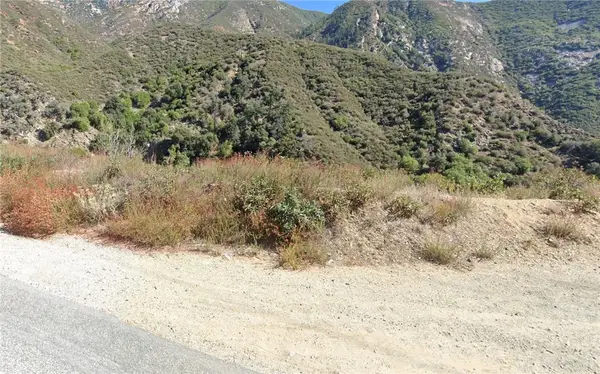 0 Mt Baldy, Mt Baldy, CA 91759