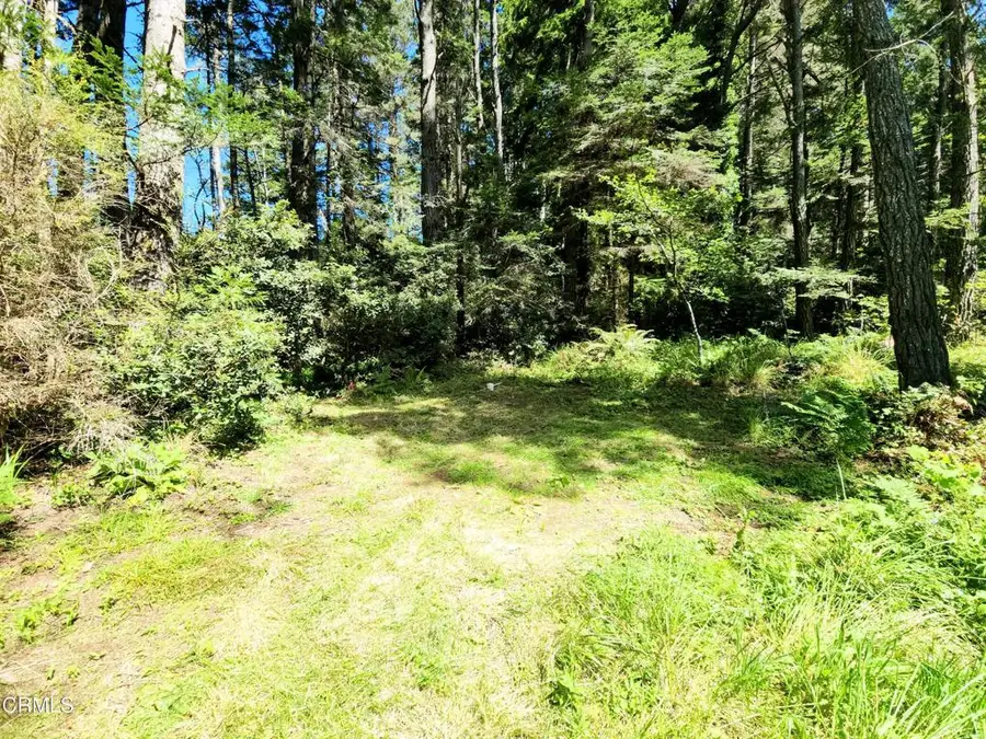 44551 Raven Lane, Mendocino, CA 95460 - #3