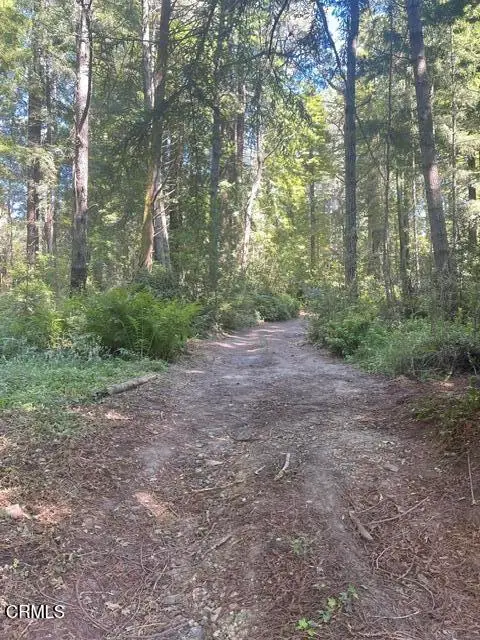 Address Withheld By Seller, Albion, CA 95410 - #3