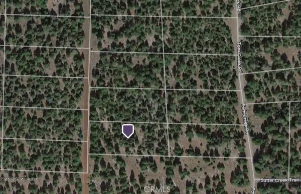 0 Lot 13 Block 19, Alturas, CA 96101