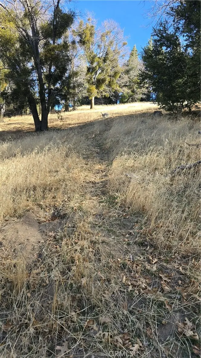 0 Cross Trail, Cedarpines Park, CA 92322 - Image #2