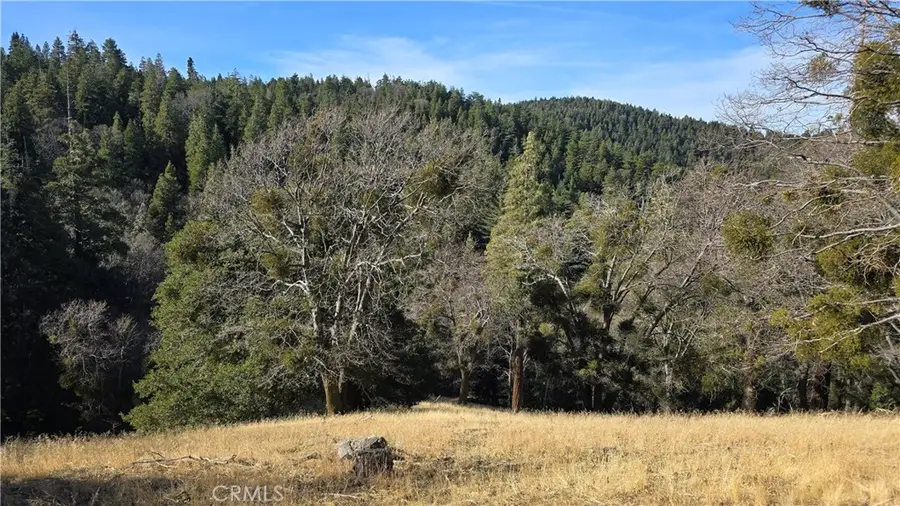 0 Cross Trail, Cedarpines Park, CA 92322 - Image #3