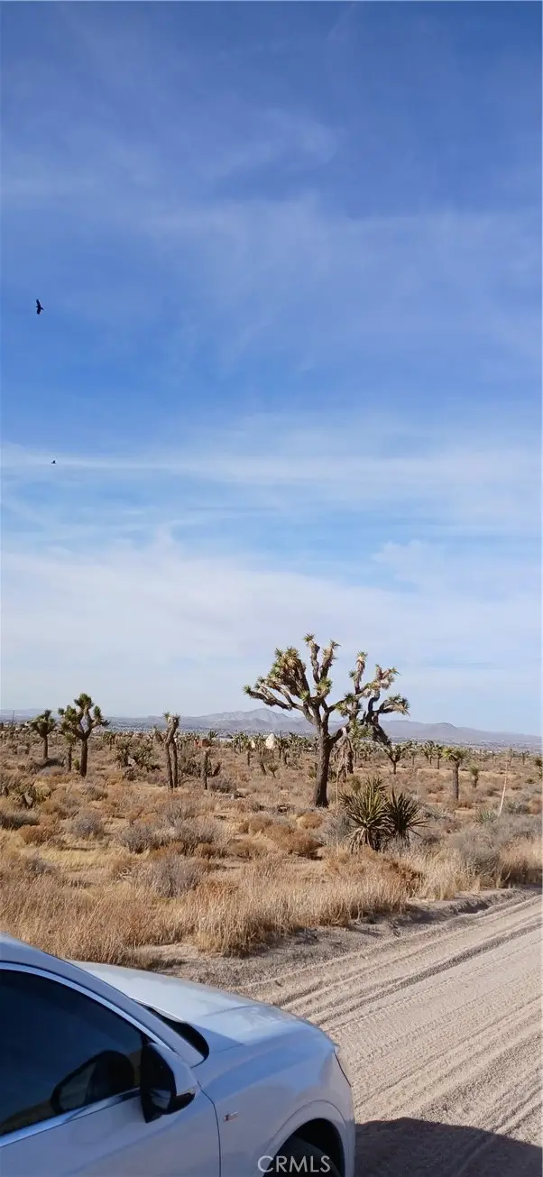 0 Bowen Ranch Road, Apple Valley, CA 92308 - Image #3