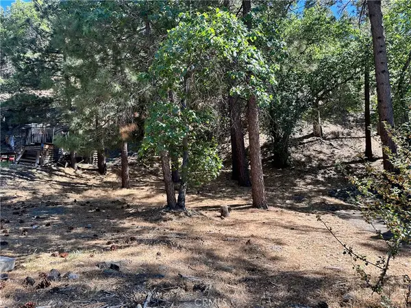 0 Heath Creek Drive, Wrightwood, CA 92397