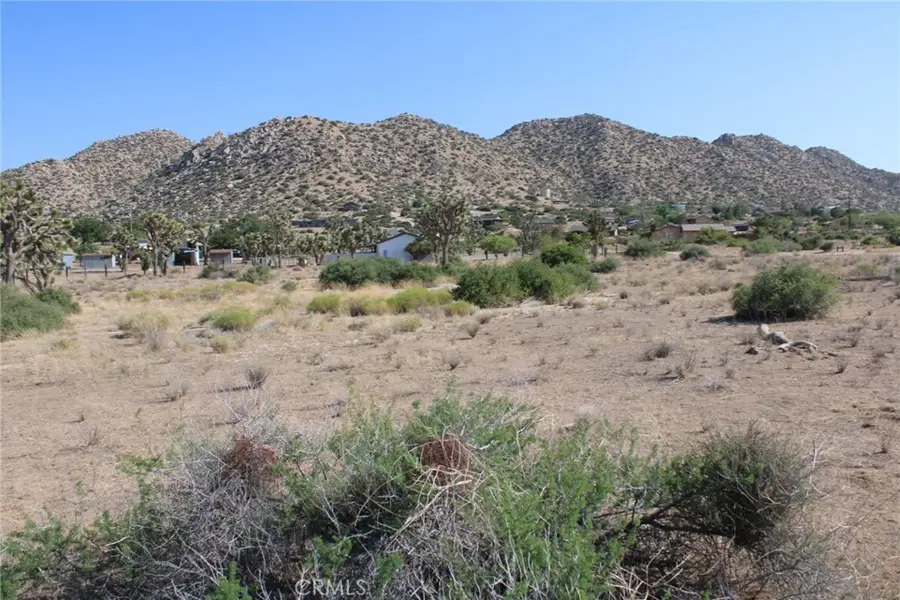 0 Minna Gombell Ln, Pioneertown, CA 92668 - #2