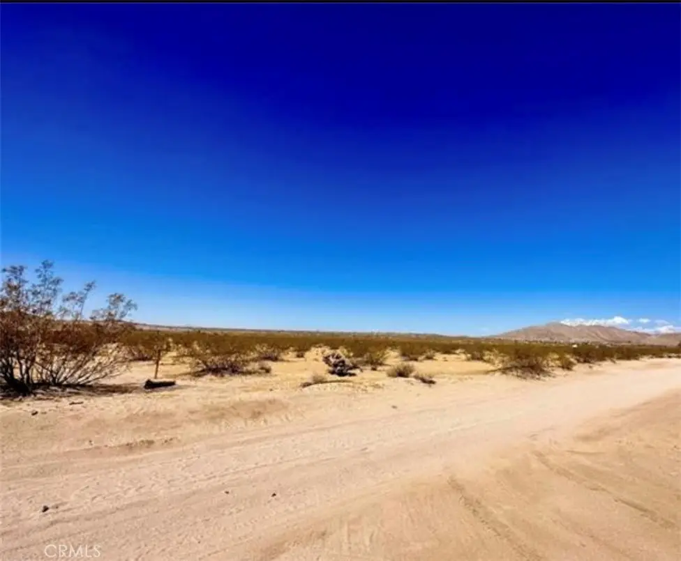 0 Dennis Avenue, Joshua Tree, CA 92252 - Image #1
