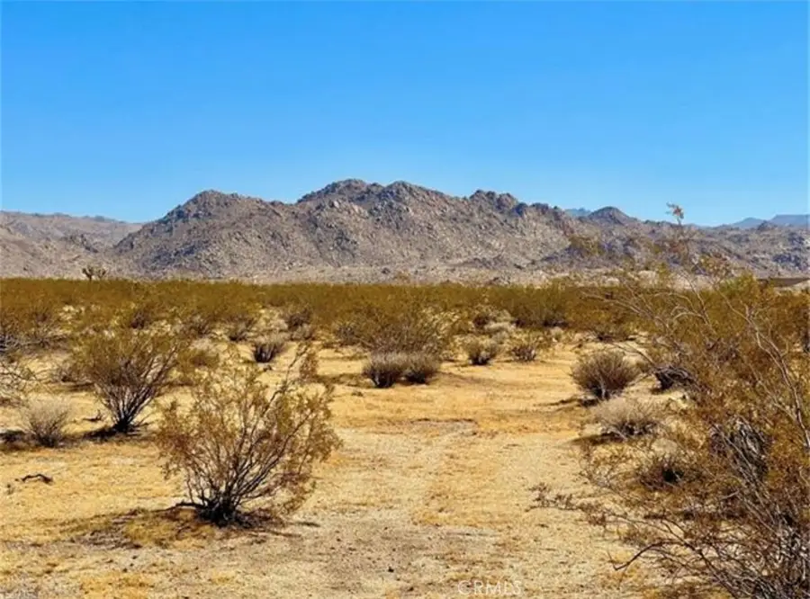 0 Dennis Avenue, Joshua Tree, CA 92252 - Image #2