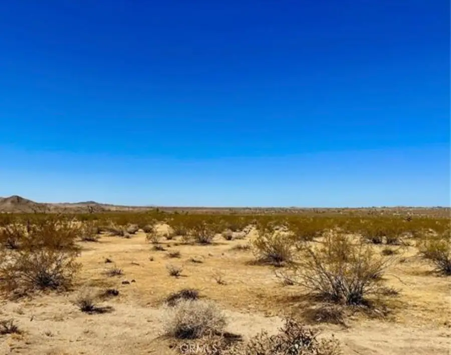 0 Dennis Avenue, Joshua Tree, CA 92252 - Image #3