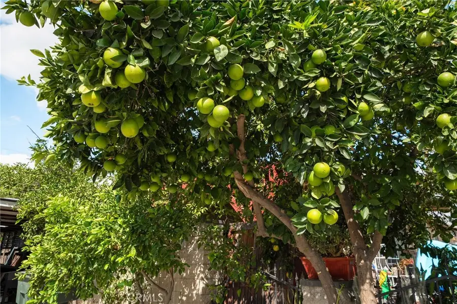 6757 Clifford, Riverside, CA 92504 - Image #3