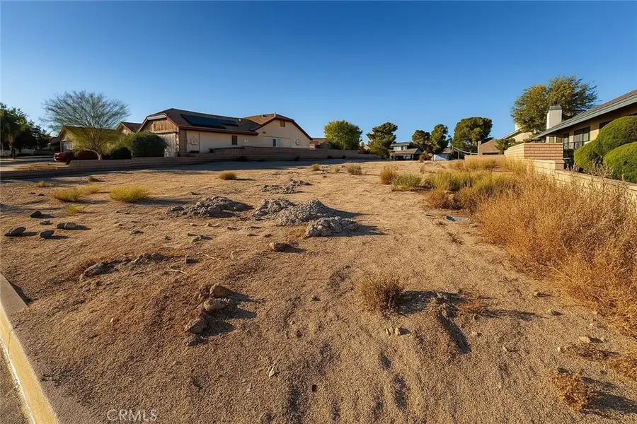 15190 Wildflower Lane, Helendale, CA 92342 - #2