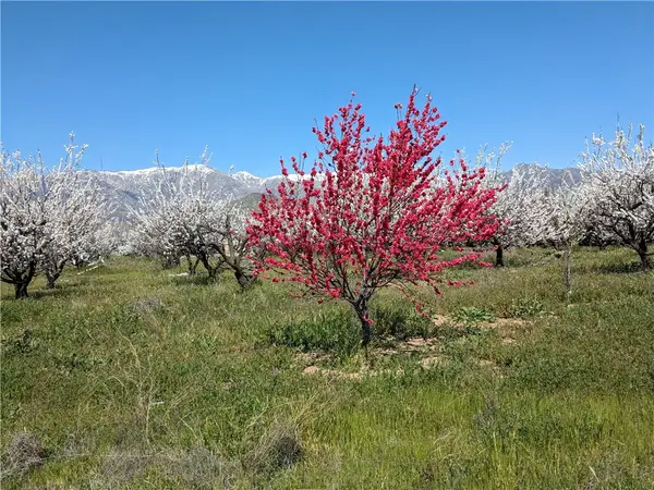 0 Pump House Road, Banning, CA 92220