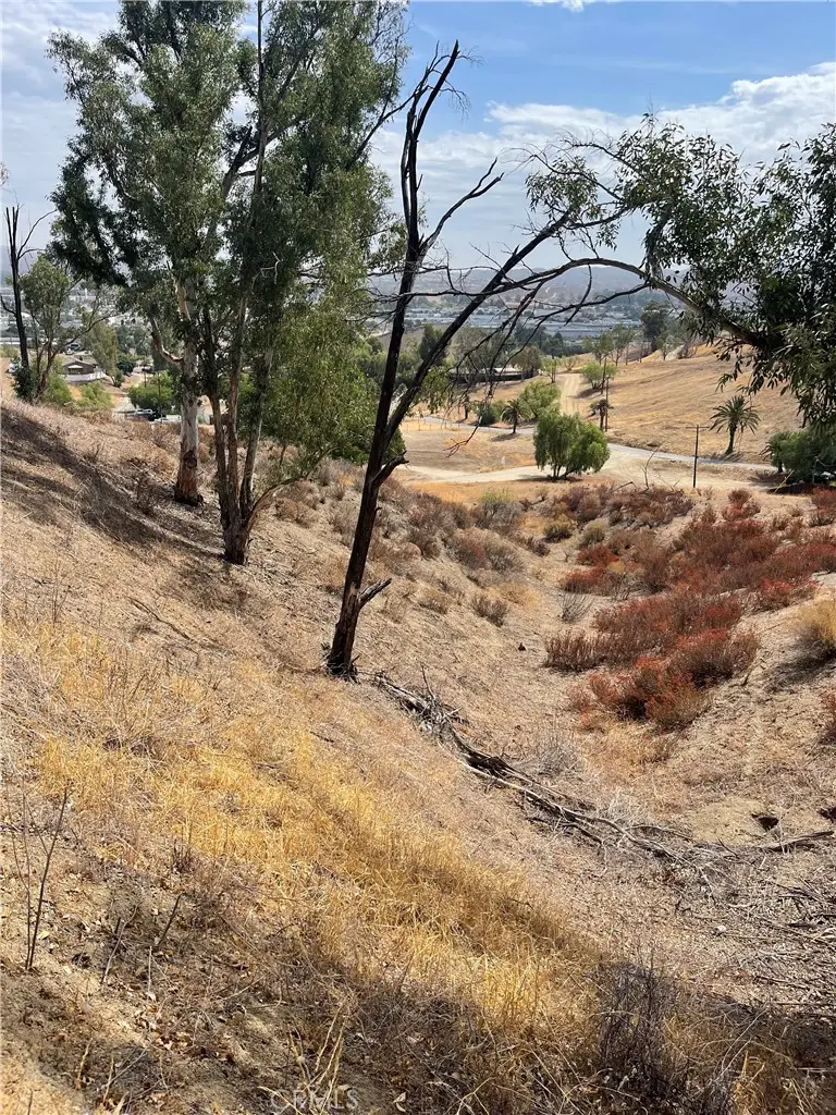 0 Ryan Street, Lake Elsinore, CA 92530 - #2