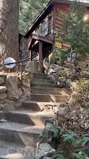 402 Burnt Mill Canyon Road, Cedarpines Park, CA 92322 - #3