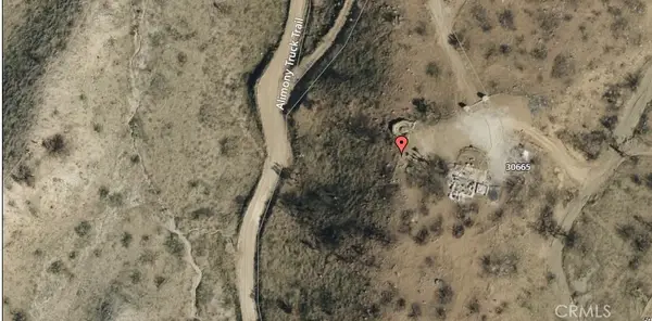 30665 96th E, Littlerock, CA 93543