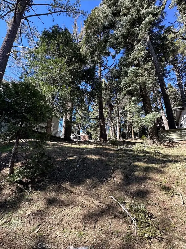 742 W Victoria Court, Lake Arrowhead, CA 92352