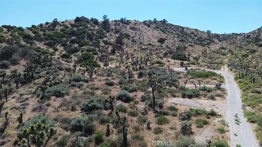 0 Mesquite Road, Pinon Hills, CA 92372 - #2