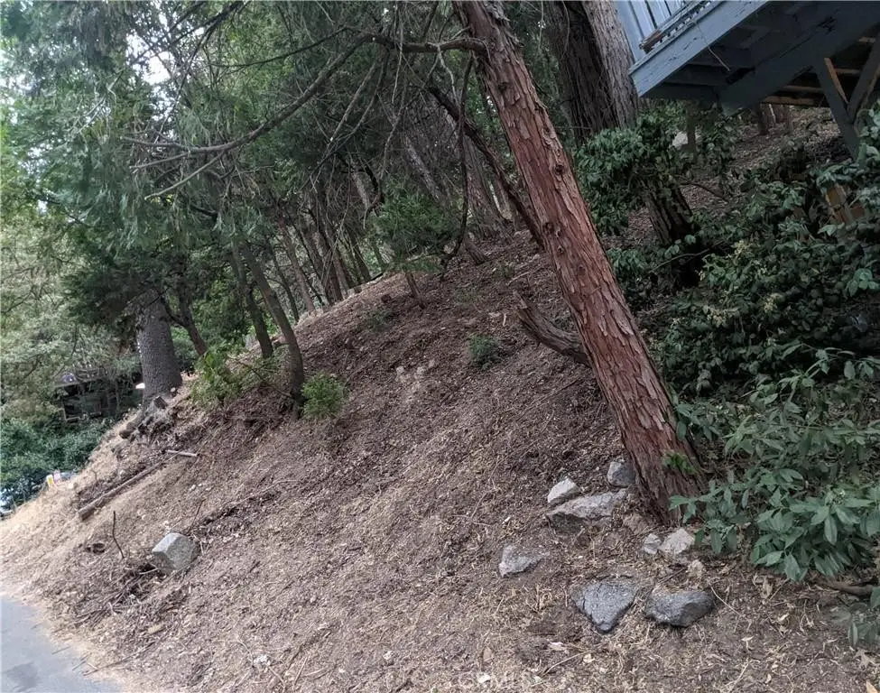0 Wildwood, Crestline, CA 92325 - #1