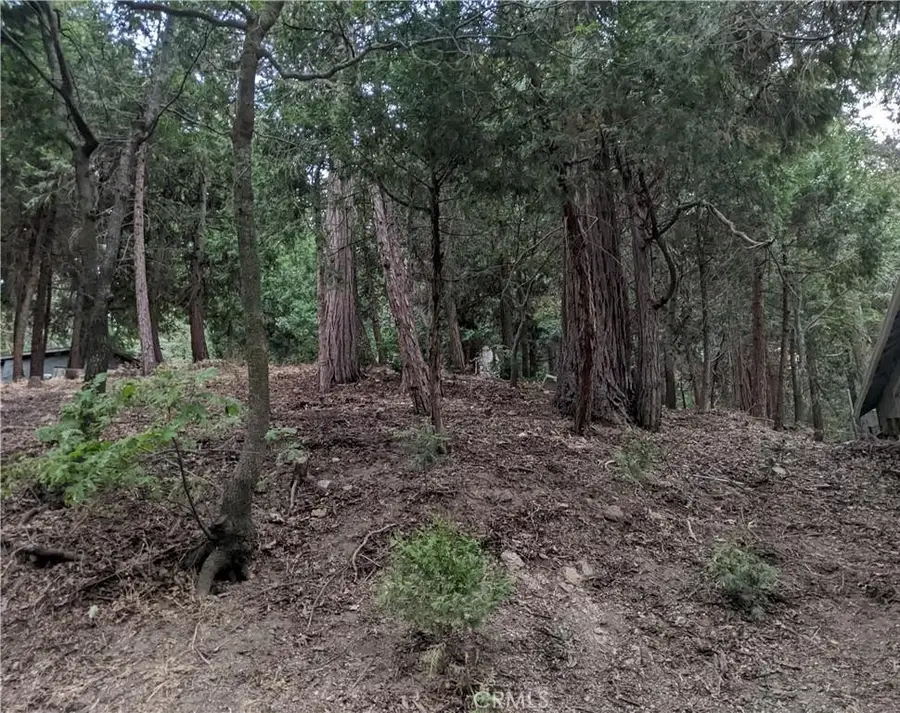 0 Wildwood, Crestline, CA 92325 - #3