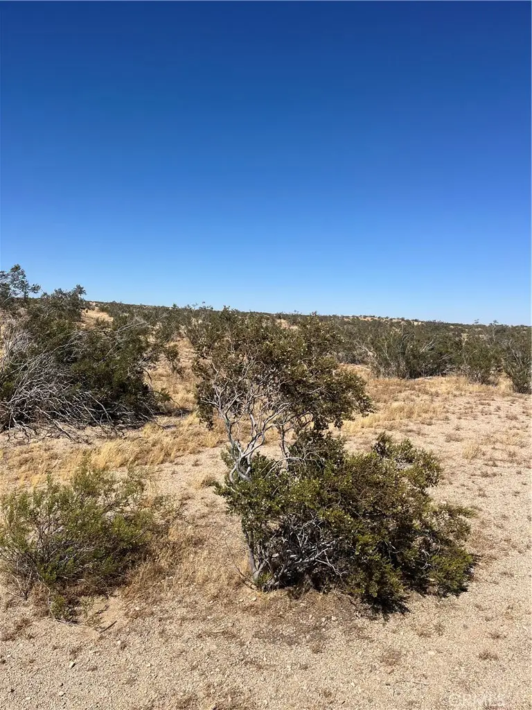 188 E Avenue G, Lancaster, CA 93535 - Image #2