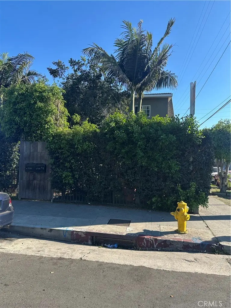 736 W 41st Place, Los Angeles, CA 90037 - #2