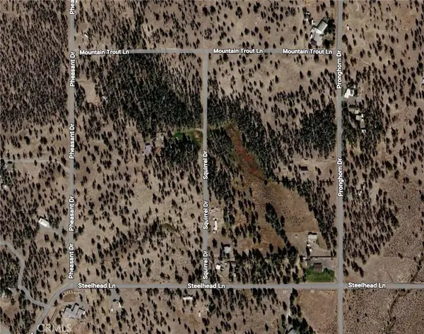 0 Pheasant Drive, Alturas, CA 96101