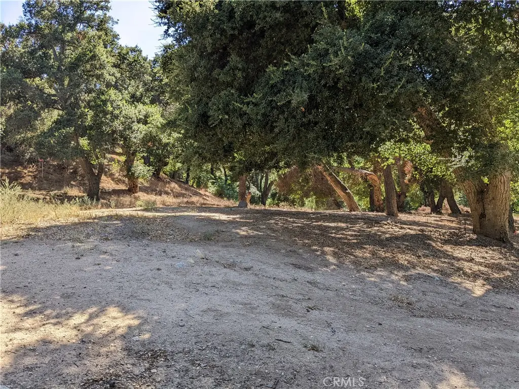 0 San Francisquito Cyn Road, Santa Clarita, CA 91350 - #1