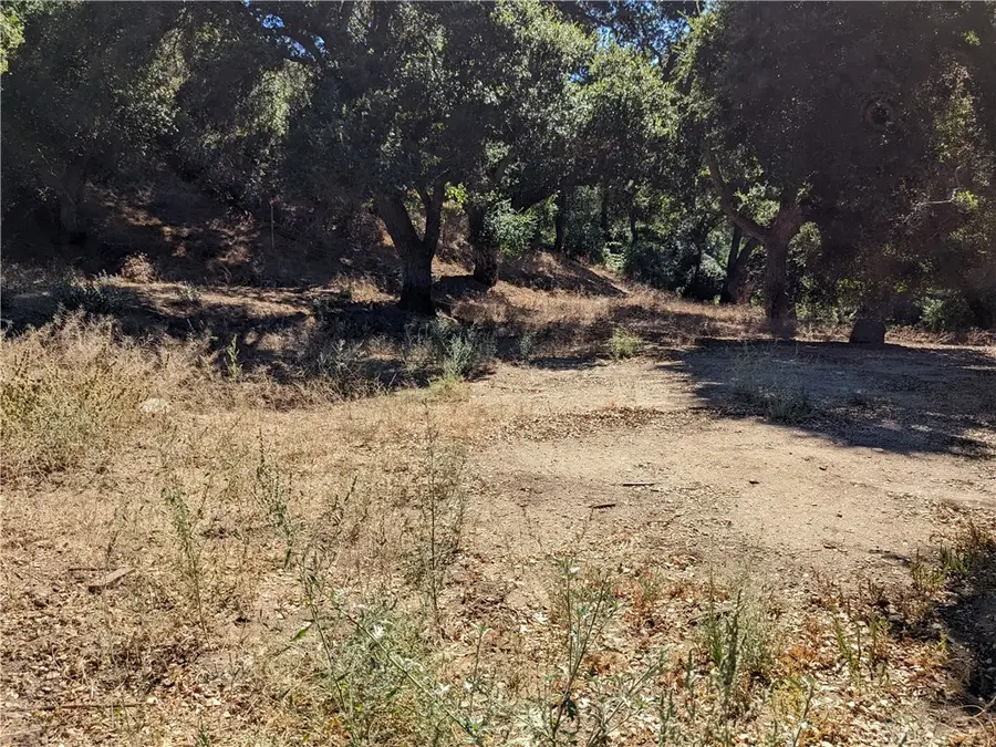 0 San Francisquito Cyn Road, Santa Clarita, CA 91350 - #3